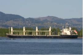SATILIK 23K DWT KARGO GEMİSİ NK CLASS / 96 JAPAN B