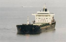SATILIK DÖKME YÜK GEMİSİ 33,103 DWT 2010 YAPIMI, RF697384, 33000